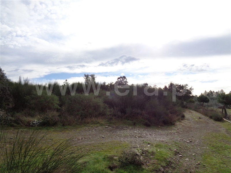 Terreno  Penamacor, Pedrogão de São Pedro - 1136619 - 3