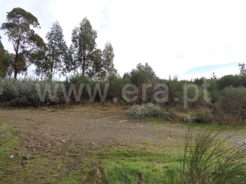 Terreno  Penamacor, Pedrogão de São Pedro - 1136619 - 4