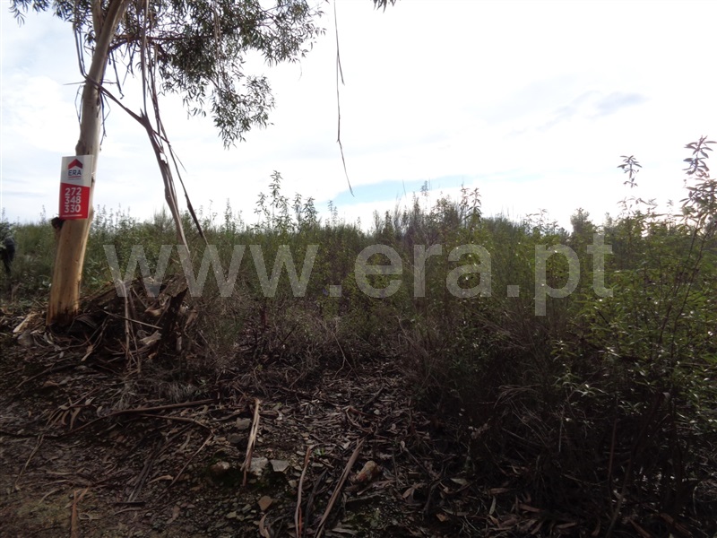 Terreno  Penamacor, Pedrogão de São Pedro - 1136619 - 5