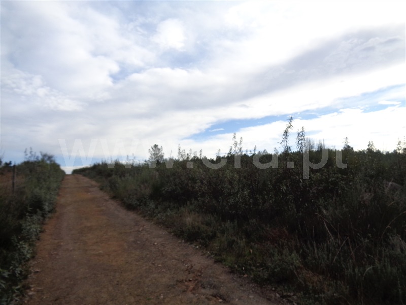 Terreno  Penamacor, Pedrogão de São Pedro - 1136619 - 7