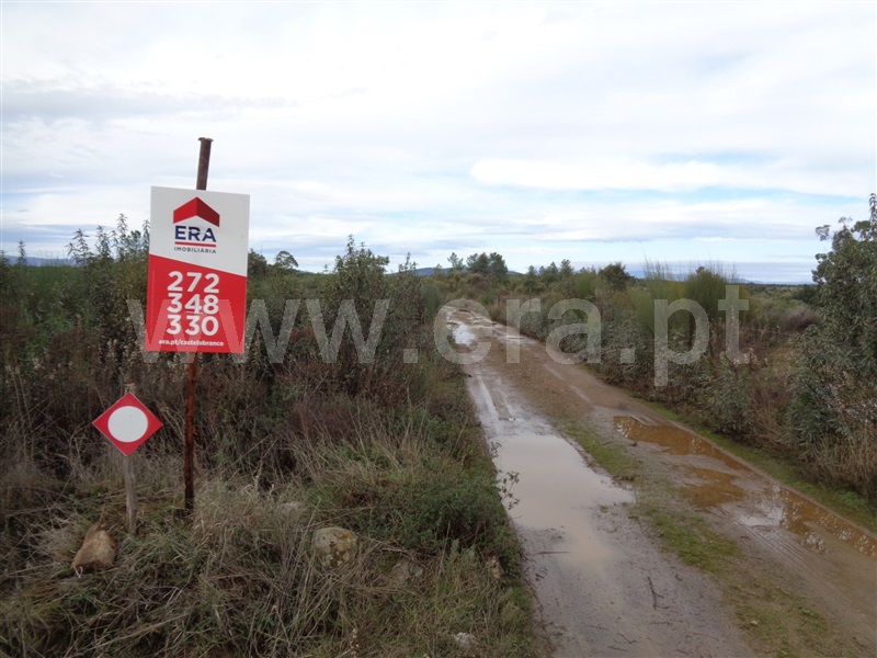Terreno  Penamacor, Pedrogão de São Pedro - 1136619 - 9