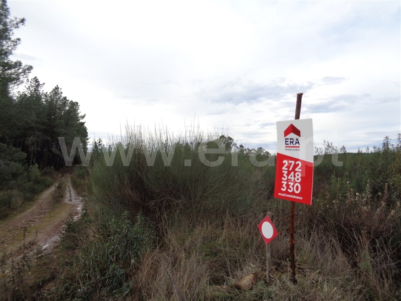 Terreno  Penamacor, Pedrogão de São Pedro - 1136619 - 10