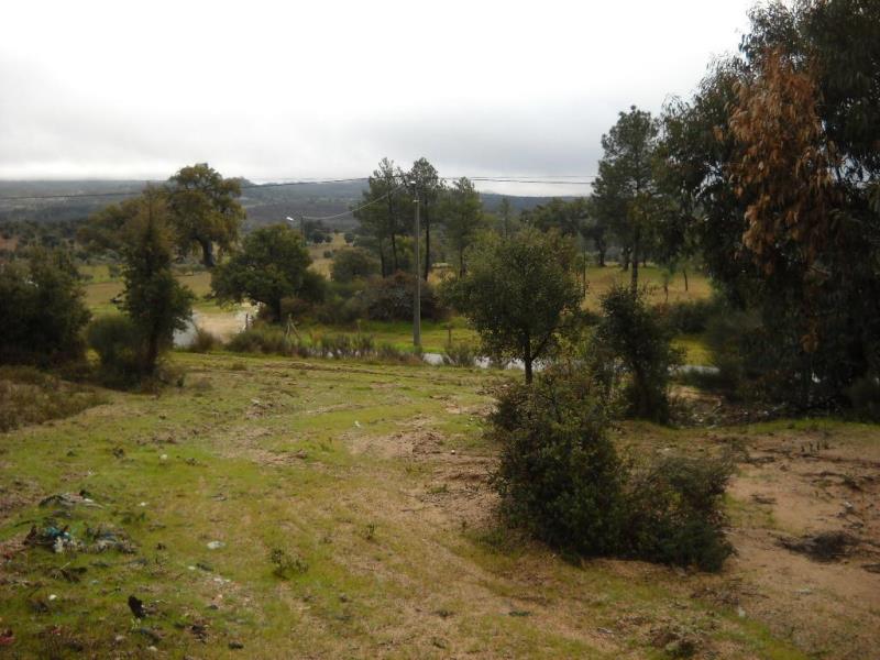 Terreno  Penamacor, Pedrogão de São Pedro - 226333 - 9