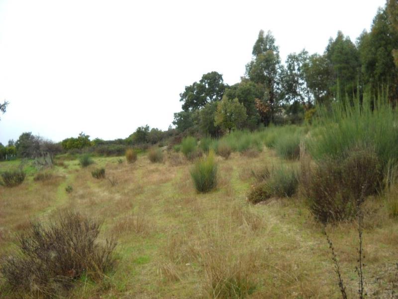 Terreno / Penamacor, Pedrogão de São Pedro