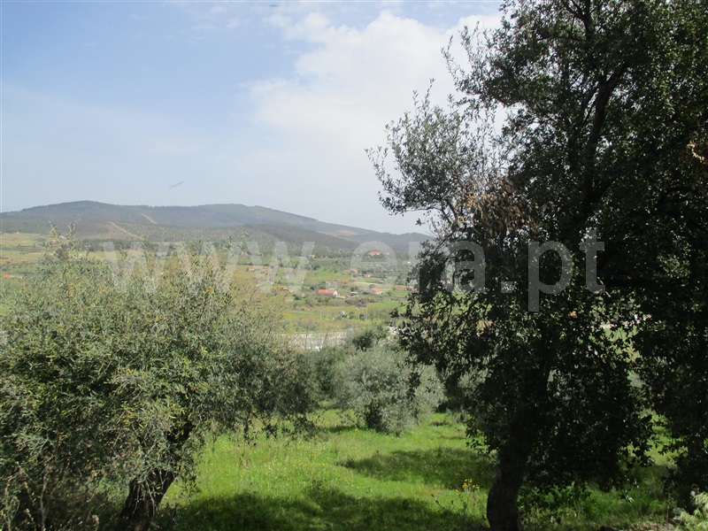 Azenha  Penamacor, Penamacor - 1234679 - 3