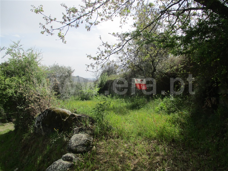 Azenha  Penamacor, Penamacor - 1234679 - 7