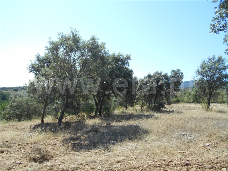 Terreno  Penamacor, Aranhas - 1420442 - 2