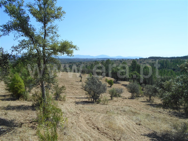 Terreno  Penamacor, Aranhas - 1420442 - 3