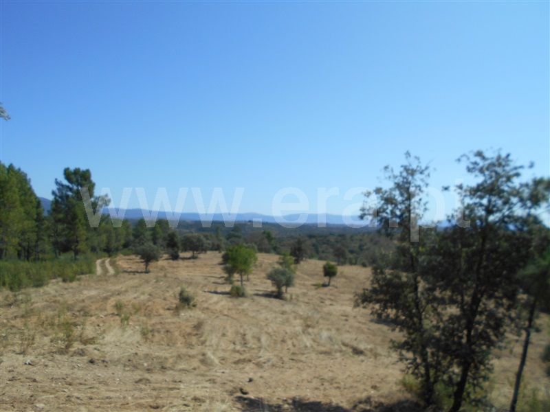 Terreno  Penamacor, Aranhas - 1420442 - 4