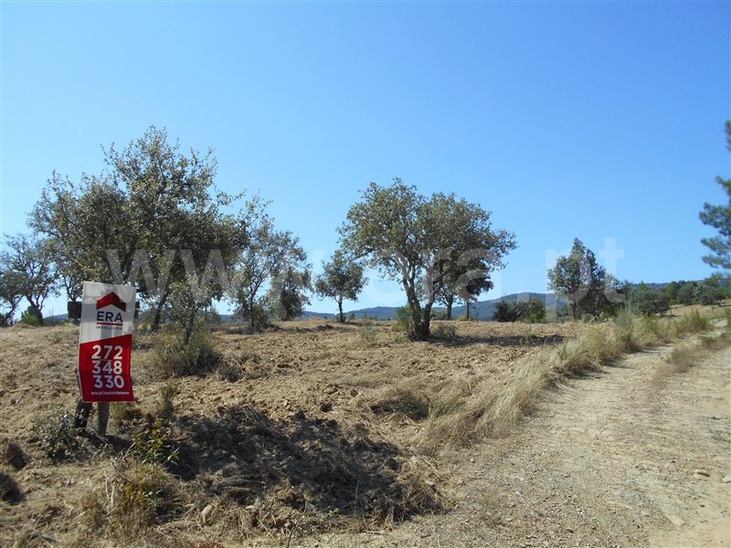Terreno / Penamacor, Penamacor
