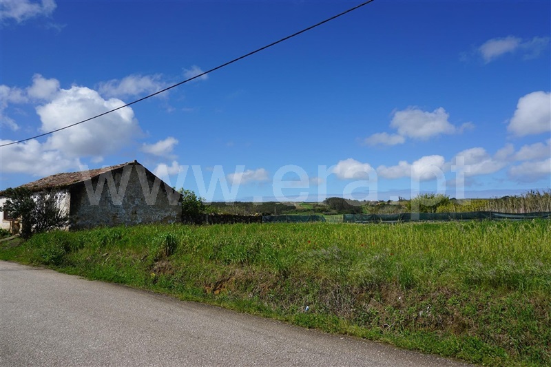 Terreno / Peniche, Carqueja