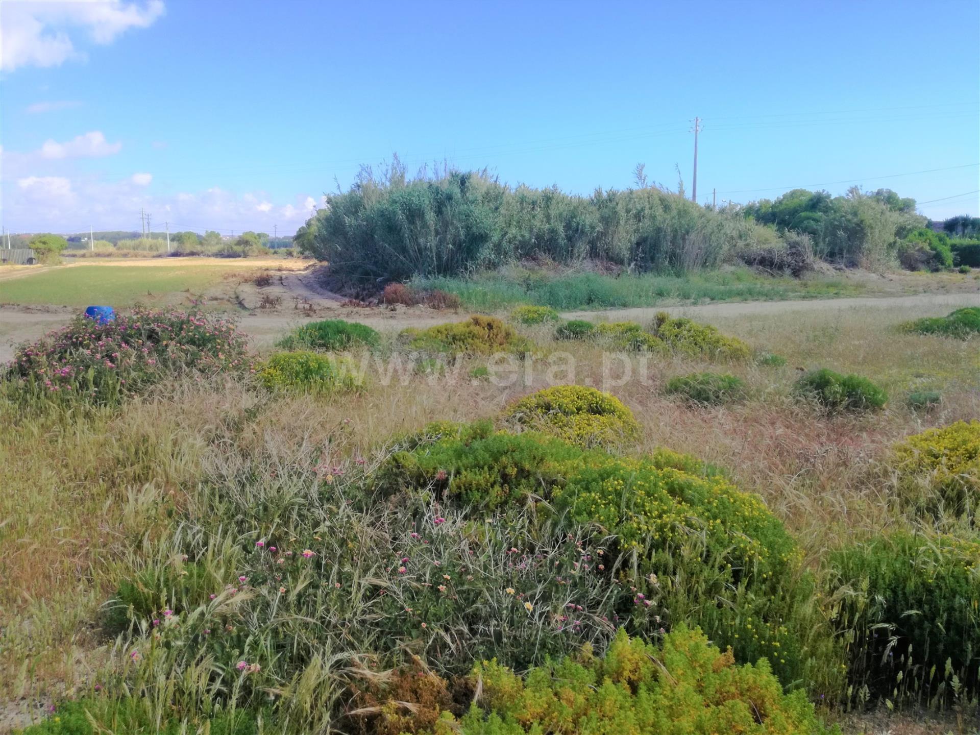 Land for sale in Peniche, Portugal — €350,000