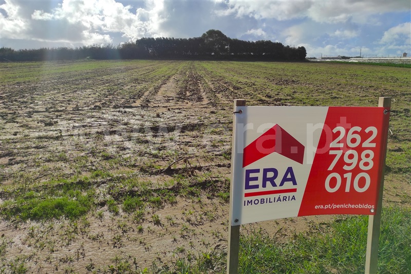 Terreno / Peniche, Coimbrã