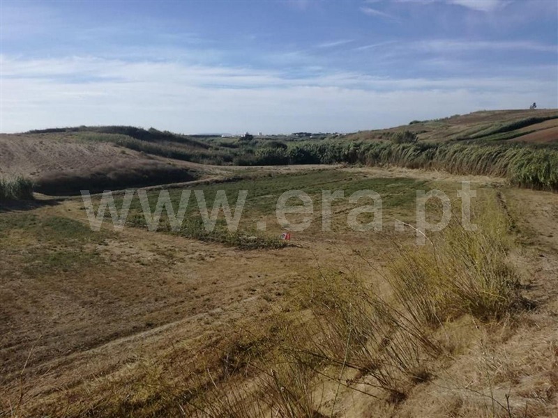 Terreno / Peniche, Ferrel