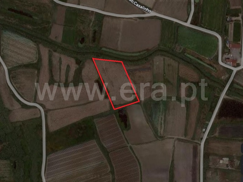 Terreno  Peniche, Ferrel - 1314371 - 3