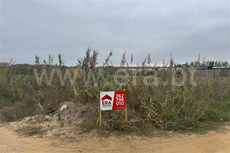 Terreno / Peniche, Ferrel