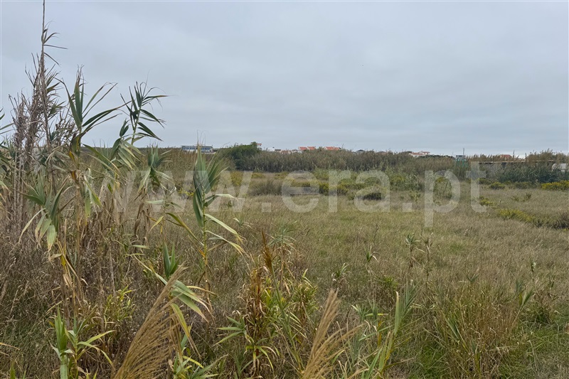 Terreno  Peniche, Ferrel - 1510968 - 2