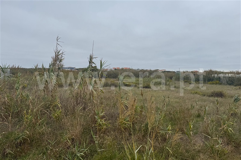Terreno  Peniche, Ferrel - 1510968 - 4