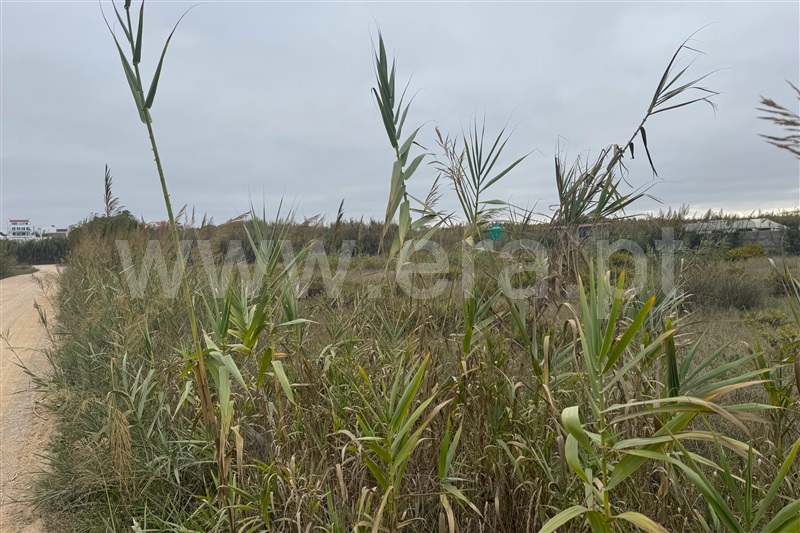 Terreno  Peniche, Ferrel - 1510968 - 5
