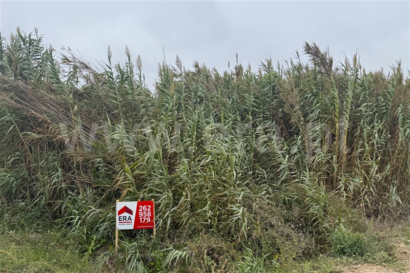 Terreno  Peniche, Ferrel - 1510968 - 8