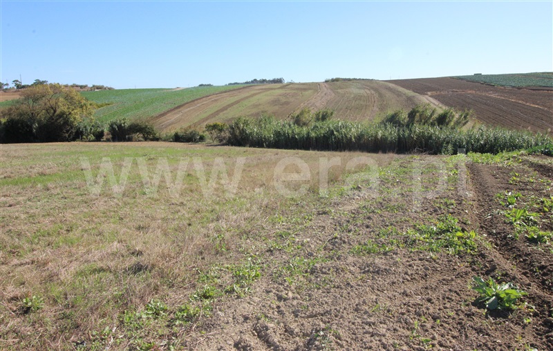 Terreno / Peniche, Geraldes