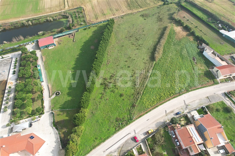 Terreno / Peniche, Reinaldes