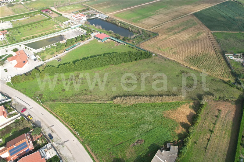 Terreno  Peniche, Reinaldes - 1371686 - 3