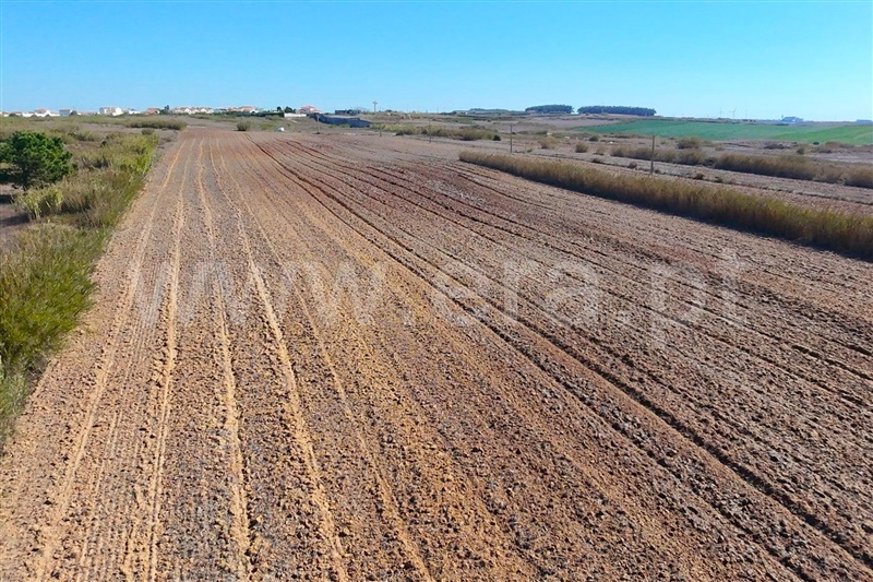 Terreno  Peniche, São Bernardino - 1513202 - 6