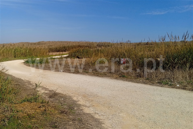 Terreno  Peniche, São Bernardino - 1513202 - 7