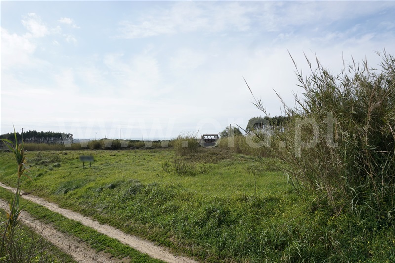 Terreno  Peniche, Serra D´El Rei - 1388401 - 1