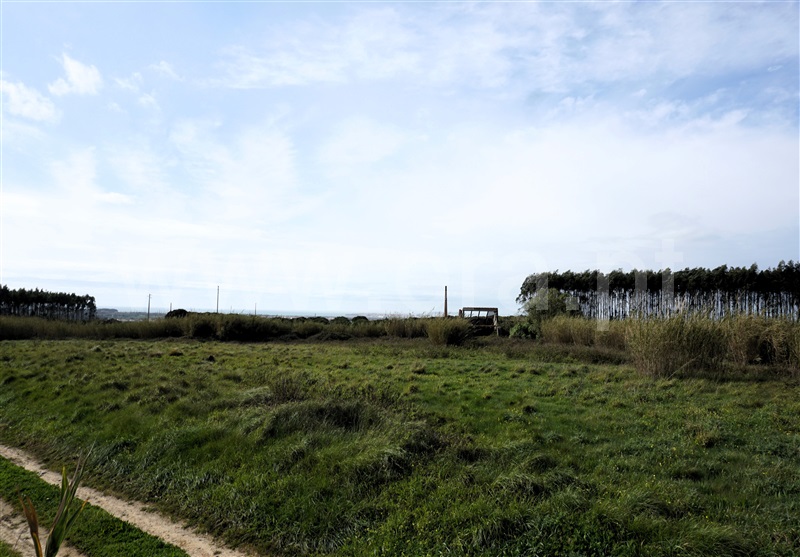Terreno  Peniche, Serra D´El Rei - 1388401 - 2
