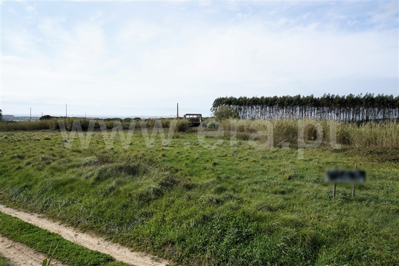 Terreno  Peniche, Serra D´El Rei - 1388401 - 4