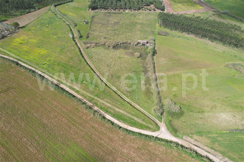 Terreno  Peniche, Serra D´El Rei - 1388401 - 6