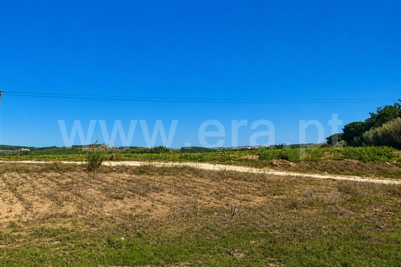 Terreno / Peniche, Serra D´El Rei
