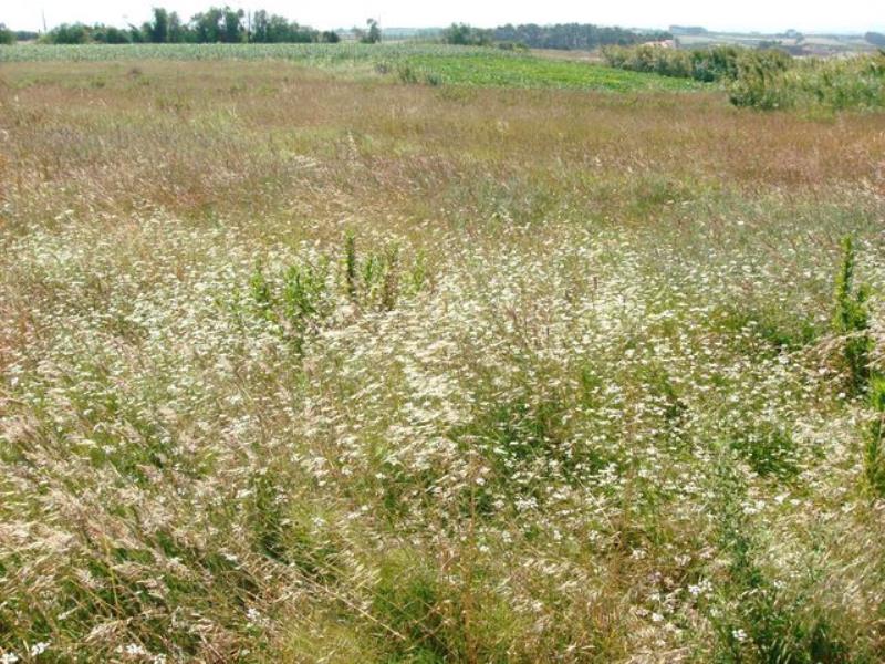 Terreno  Peniche, Serra D´El Rei - 350540 - 2