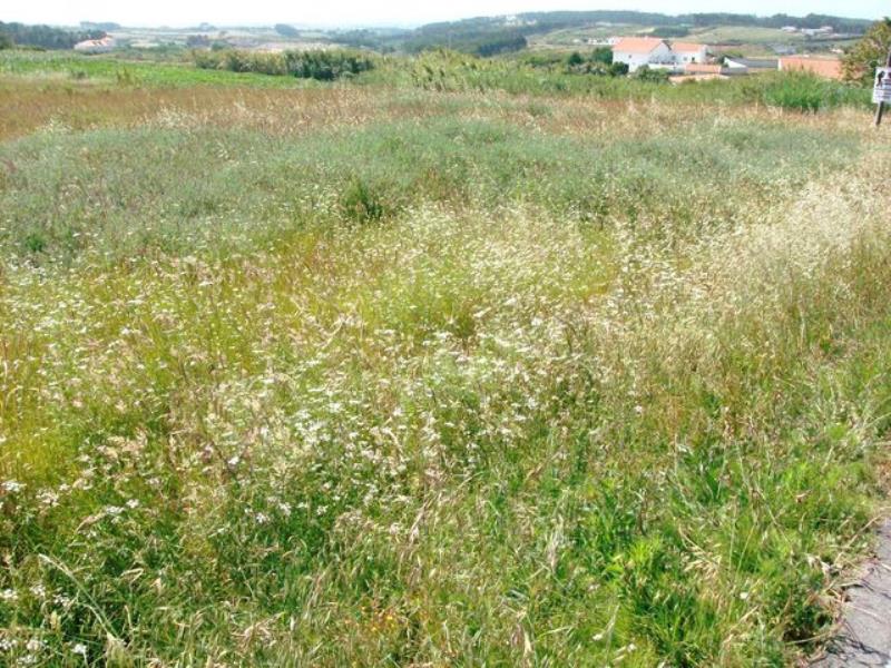 Terreno  Peniche, Serra D´El Rei - 350540 - 3
