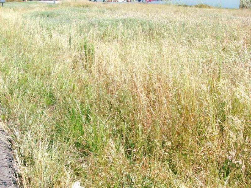 Terreno  Peniche, Serra D´El Rei - 350540 - 4