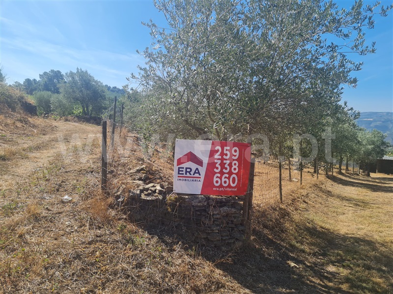Terreno / Peso da Régua, Galafura e Covelinhas