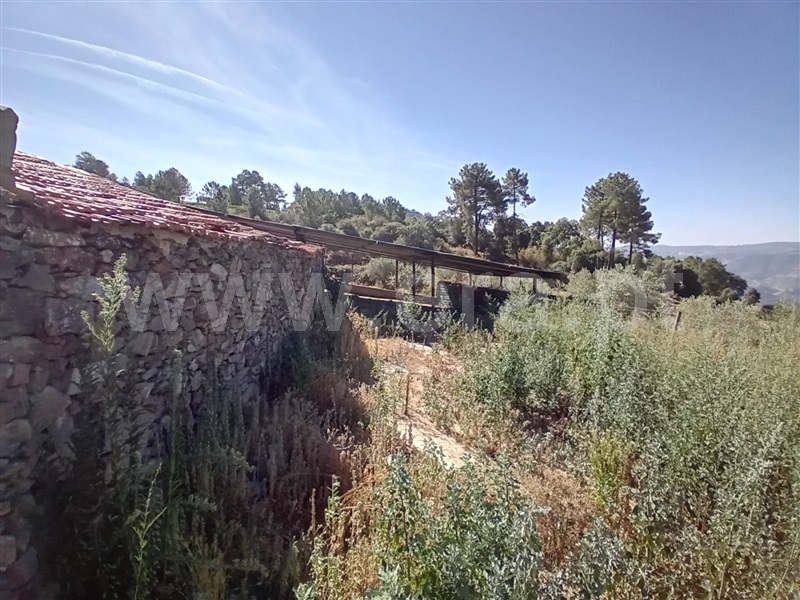 Terreno  Peso da Régua, Galafura e Covelinhas - 1426244 - 10