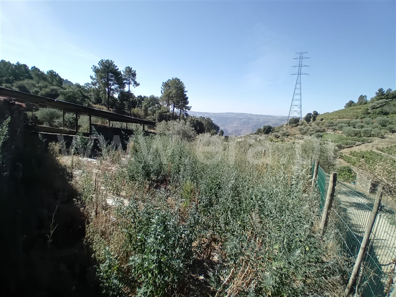 Terreno  Peso da Régua, Galafura e Covelinhas - 1426244 - 11
