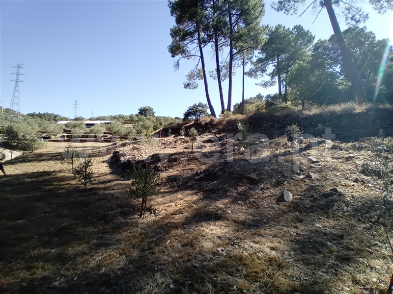 Terreno  Peso da Régua, Galafura e Covelinhas - 1426244 - 12