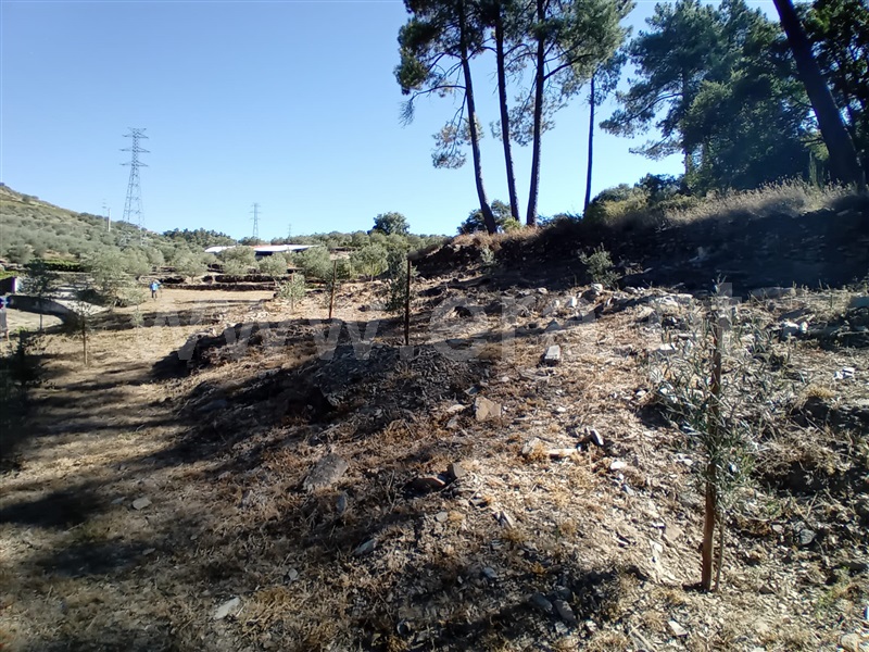 Terreno  Peso da Régua, Galafura e Covelinhas - 1426244 - 14