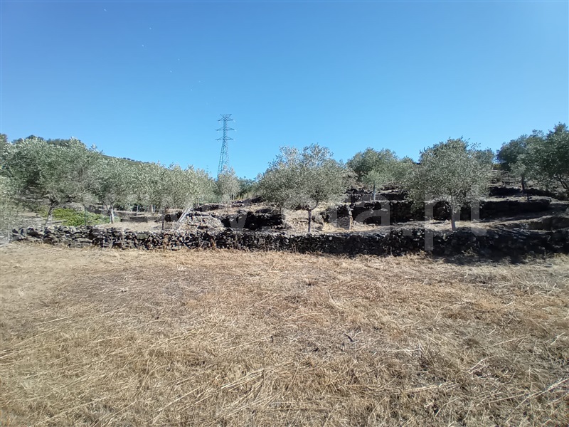 Terreno  Peso da Régua, Galafura e Covelinhas - 1426244 - 15