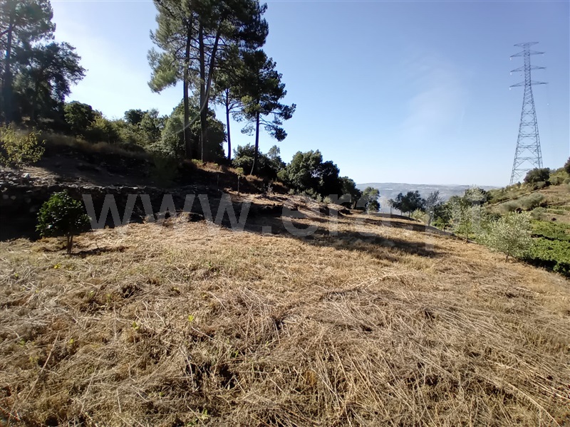 Terreno  Peso da Régua, Galafura e Covelinhas - 1426244 - 16