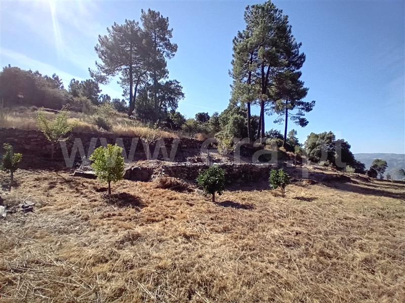 Terreno  Peso da Régua, Galafura e Covelinhas - 1426244 - 17