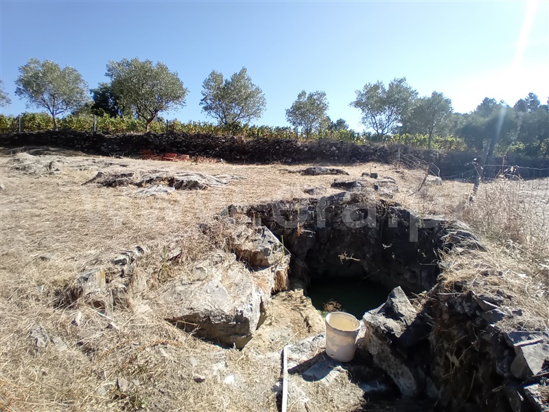Terreno  Peso da Régua, Galafura e Covelinhas - 1426244 - 18