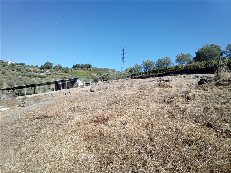Terreno  Peso da Régua, Galafura e Covelinhas - 1426244 - 19
