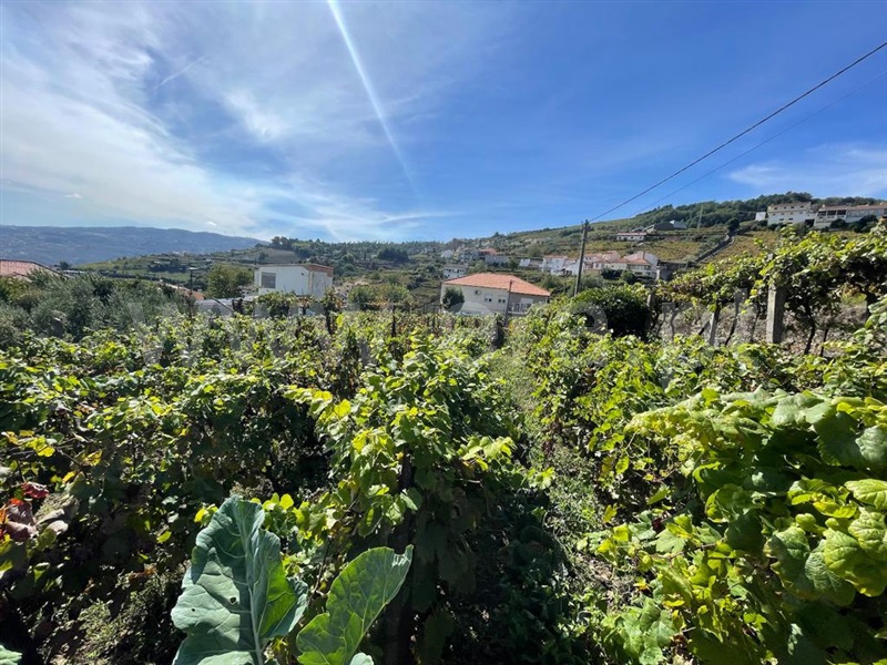 Terreno  Peso da Régua, Loureiro - 1355869 - 1