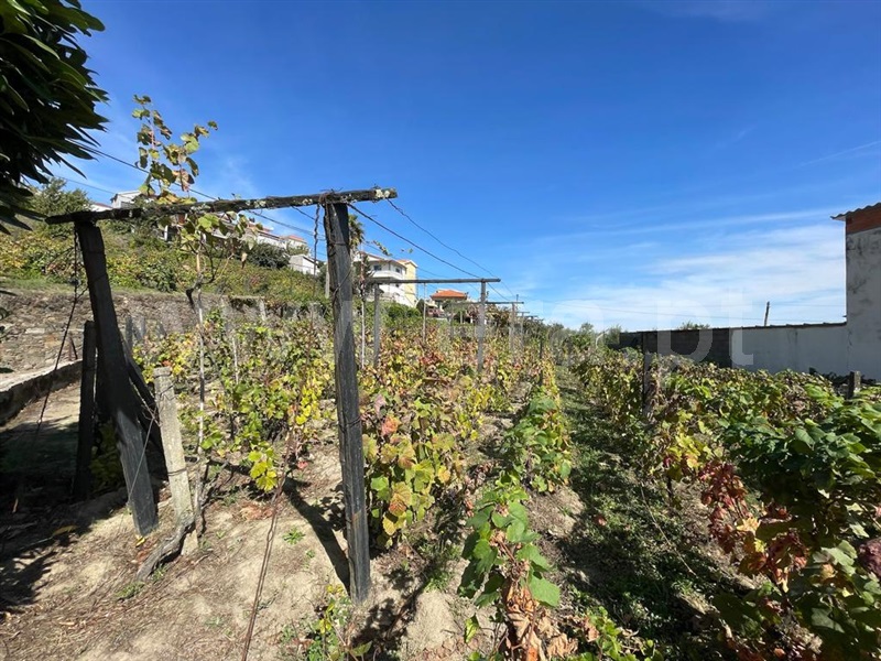 Terreno  Peso da Régua, Loureiro - 1355869 - 2