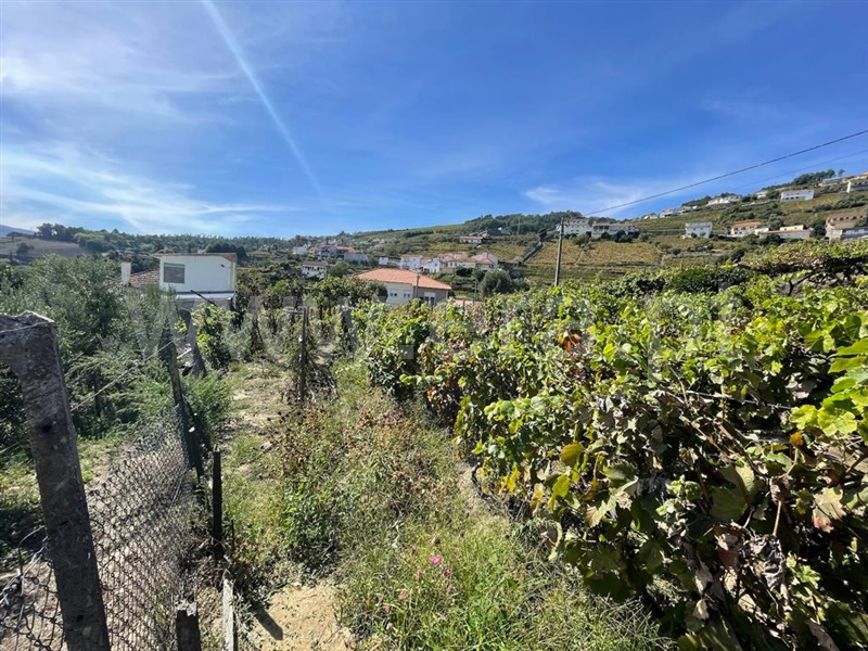 Terreno  Peso da Régua, Loureiro - 1355869 - 4